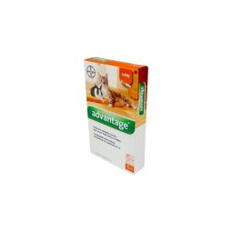 ADVANTAGE SPOT-ON CAT 0,4ML (4KG-IG) 1X