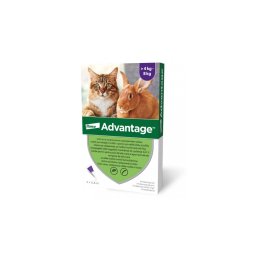 ADVANTAGE SPOT-ON CAT 0,8ML (4KG-TÓL) 4db