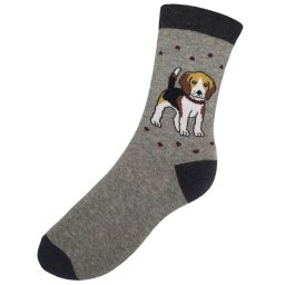 Nagy beagle - nõi zokni