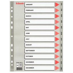 ESSELTE Regiszter, műanyag, A4, Jan-Dec, ESSELTE, szürke