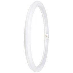 LED cső G10Q Fehér 6500K 24W 2900lm LED TUBE T9 EM V Nem Szabályozható 400mm