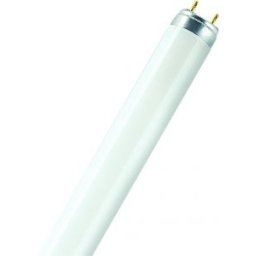 Fénycső T8 L 18 W/880