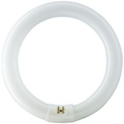 Körfénycső MASTER TL-E Circular Super 80 22W/865 G10q 6500k