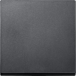 Merten Billentyű, System-M, Antracit MTN433114