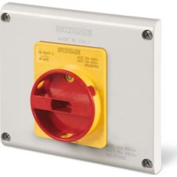 Megszakító 40 A 2P IP65 ISOLATORS 590.ER4002