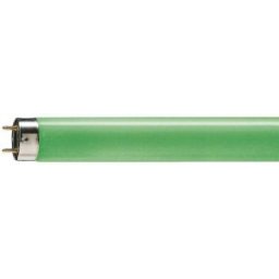 Fénycső TL-D 18W/17 GR