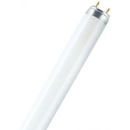 Kétsávos fénycső T8 36x1W NATURA T8 4050300010526