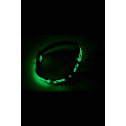 Dream Toys Radiant Ball Gag Green szájpecek
