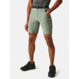 Regatta Sport rövidnadrág Xert III RMJ233 Zöld Regular Fit