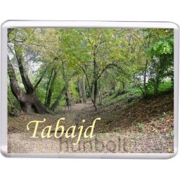 Tabajd-Mezítlábas Park hűtőmágnes (műanyag keretes)
