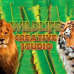 Wildlife Creative Studio (1 eszköz / Lifetime) (Steam) (Elektronikus licenc)