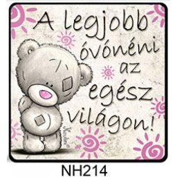 Hűtőmágnes A legjobb óvónéni 7,5 cm X 7,5 cm