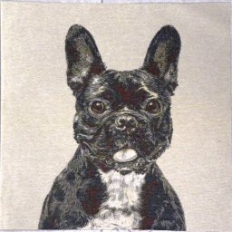 BULLY francia bulldog jacquard párna panel