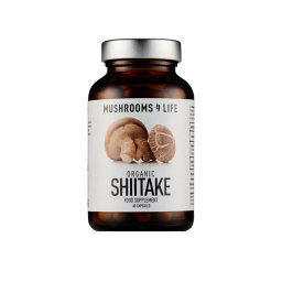 Shiitake gomba, bio 60 db Mushrooms4life