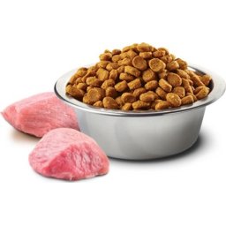 N&D Cat Adult Boar & Apple Grain Free (2 x 5 kg) 10kg