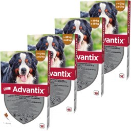 Advantix Spot On kutyáknak (4 darab | 40-60 kg | XL | 6 ml / pipetta)