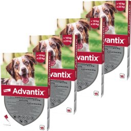 Advantix Spot On kutyáknak (4 darab | 10-25 kg | M | 2.5 ml / pipetta)