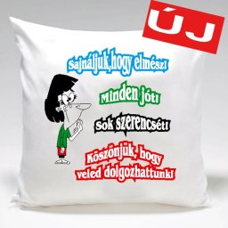 Munkahelyi búcsúztató - Tréfás párna
