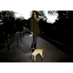 Flexi Neon kötélpóráz - S, 12 kg-ig, 5 m, sárga-fekete