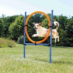 Trixie Dog Activity agility gyűrű (115 × ø 3 cm ; gyűrűátmérő: ø 65 cm.)