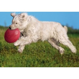Trixie Dog Activity gumi frizbi (22 cm)
