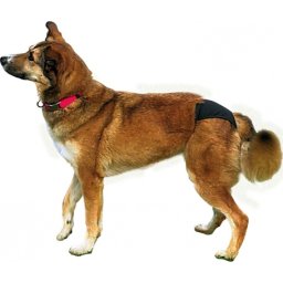 Tüzelőbugyi S–m Fekete 32–39cm