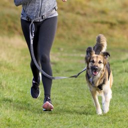 Trixie Dog Activity öv pórázzal közepes és nagytestű kutyáknak (Öv: 75-120 cm / 9 cm | Póráz: 120-150 cm / 25 mm)
