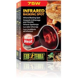 H.Exo-Terra 2142 Heat 75w