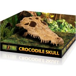 Exo Terra krokodil koponya dekor terráriumba - 15 cm