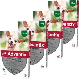 Advantix Spot On kutyáknak (4 darab | 4 kg alatt | XS | 0.4 ml / pipetta)