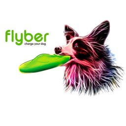 Flyber frizbi kutyáknak (22 cm)