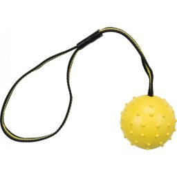 Trixie Ball on a Strap - Sporting labda pánton kutyáknak (Labda átmérője: 6 cm; Játék hossza: 35 cm)