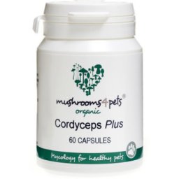 Mushrooms 4 Pets Cordyceps Plus az idős állatok egészségéért (500 mg) 60 db