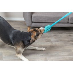 Trixie Bungee Dummy kutyajáték (20 cm / 47 cm)
