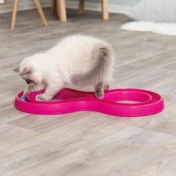 Trixie Flashing Ball Race - Kapd el a labdát macskajáték (65 x 31 cm)
