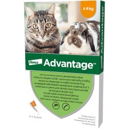 Advantage 40 spot on nyulaknak és macskáknak (4 kg-ig) (4 db pipeta) 4 x 0.4 ml