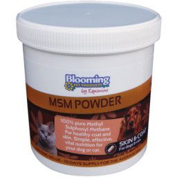 Blooming Pets MSM por kutyáknak és macskáknak 350 g