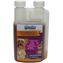 Blooming Pets Echinacea - Kasvirág immunerősítő oldat kutyáknak és macskáknak 250 ml