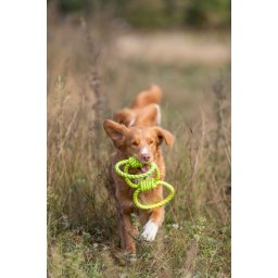 Trixie Aqua Toy Tugger vízi játék kötél karika kutyáknak 42 cm