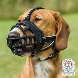 Trixie Muzzle Flex szilikon szájkosár neoprénnel bélelt szíjjal (L; Homlokpánt: 27 cm, Nyakpánt: 31 cm pl.: Labrador)