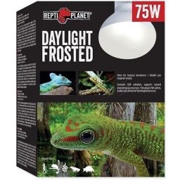 Repti Planet Frosted Daylight - Trópusi nappali hideg fényt sugárzó izzó (75 W)