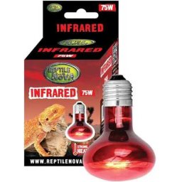 Reptile Nova infravörös terrárium izzók 75 W