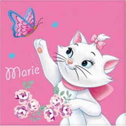 Marie Aristocat kéztörlő, arctörlő, törölköző 30x30 cm Nr 01