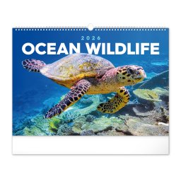 Falinaptár képes 480×330mm Ocean Wildlife Realsystem 2026.