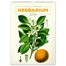 Falinaptár képes 330×460mm Vintage Posters-Herbarium Realsystem 2027.