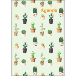 Határidőnapló Colors A5 napi, fehér lapokkal Cactus Dayliner 2027.