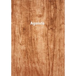 Határidőnapló Colors A5 napi, fehér lapokkal Wood Dayliner 2026.
