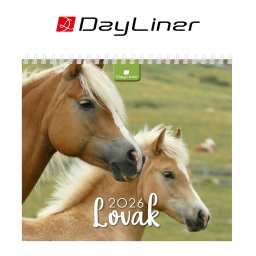 Képes asztali naptár 150 x 130 mm, fehér lapokkal Lovak álló mini Dayliner 2026.