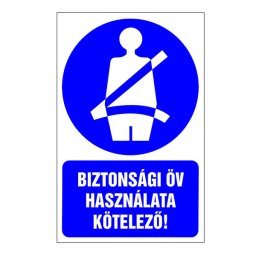 Biztonsági öv használata kötelező! 16x25cm / Öntapadós vinil