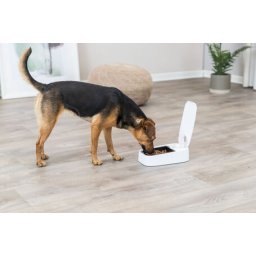 Trixie TX1 automata etető (300 ml - 13 x 7 x 24 cm - Szürke/Fekete)